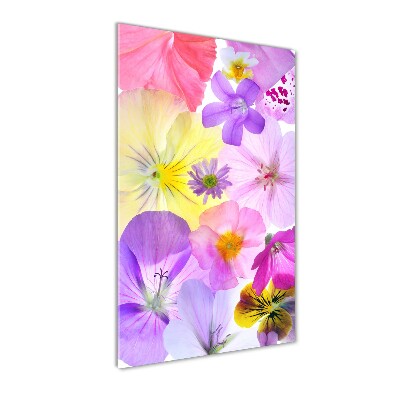 Wall art on glass Colorful flowers