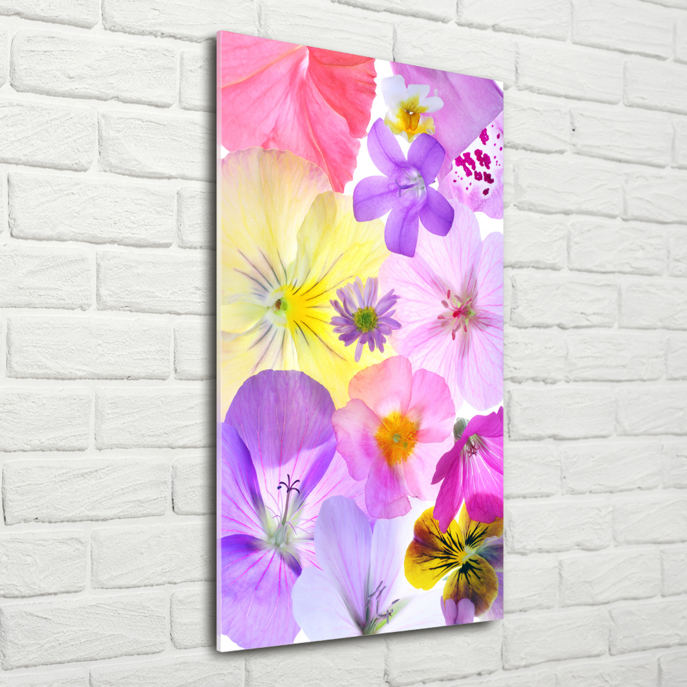 Wall art on glass Colorful flowers