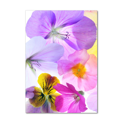 Wall art on glass Colorful flowers