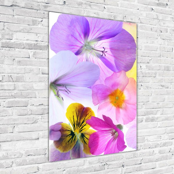 Wall art on glass Colorful flowers