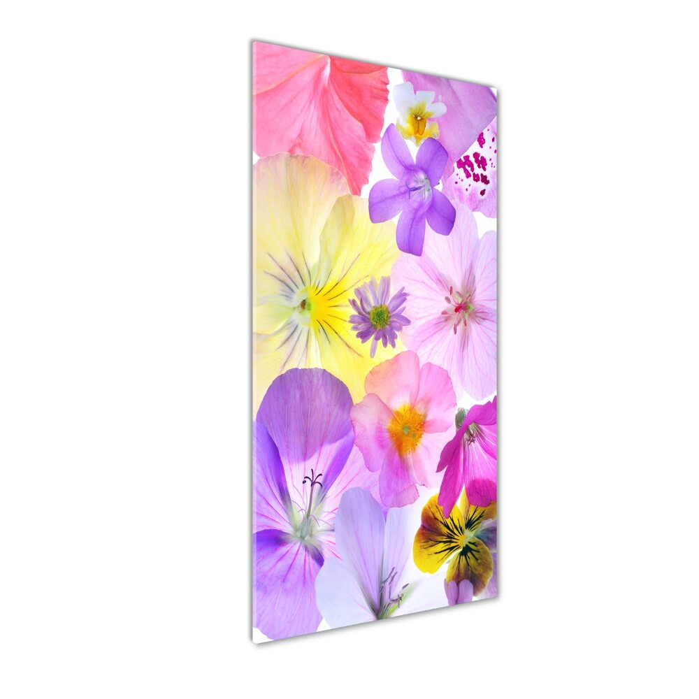 Wall art on glass Colorful flowers