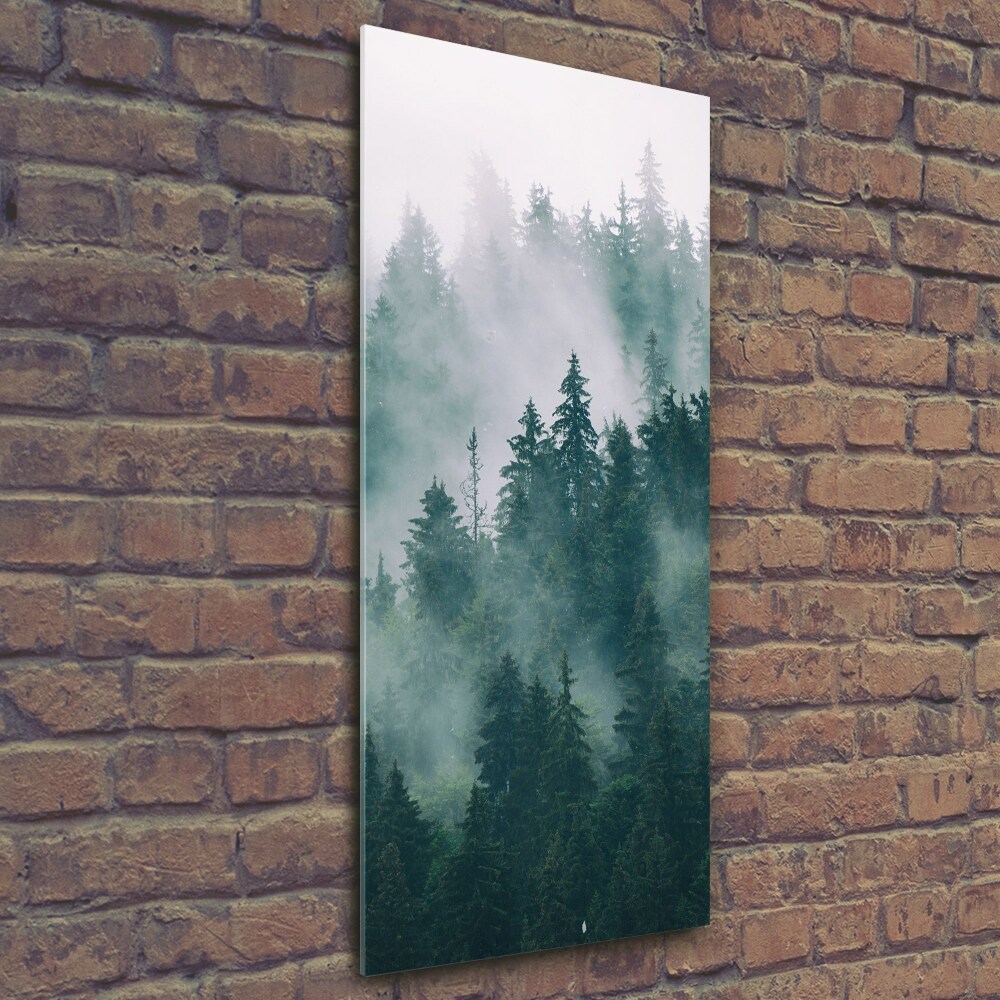 Glass wall art Fog over the forest