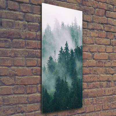 Glass wall art Fog over the forest