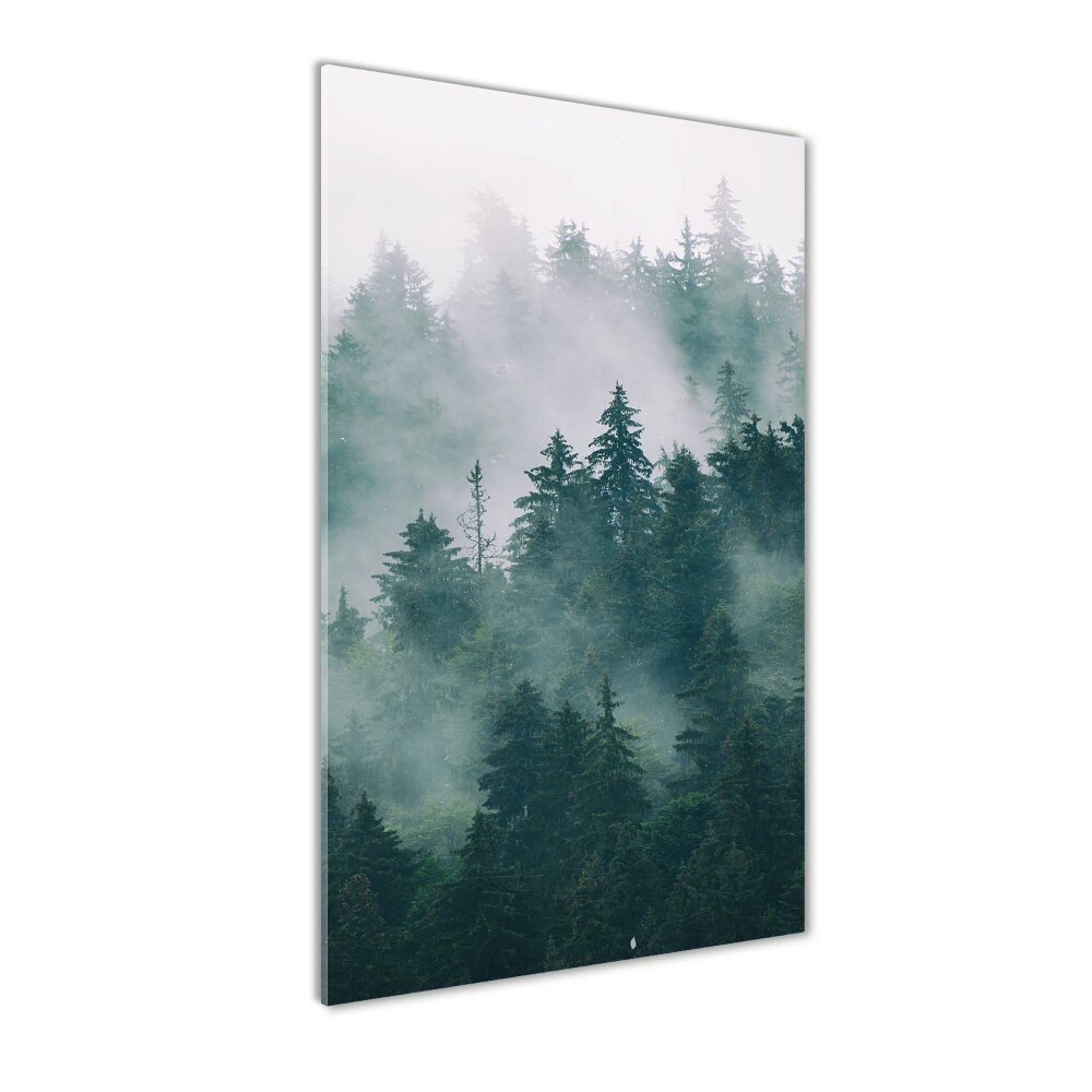 Glass wall art Fog over the forest