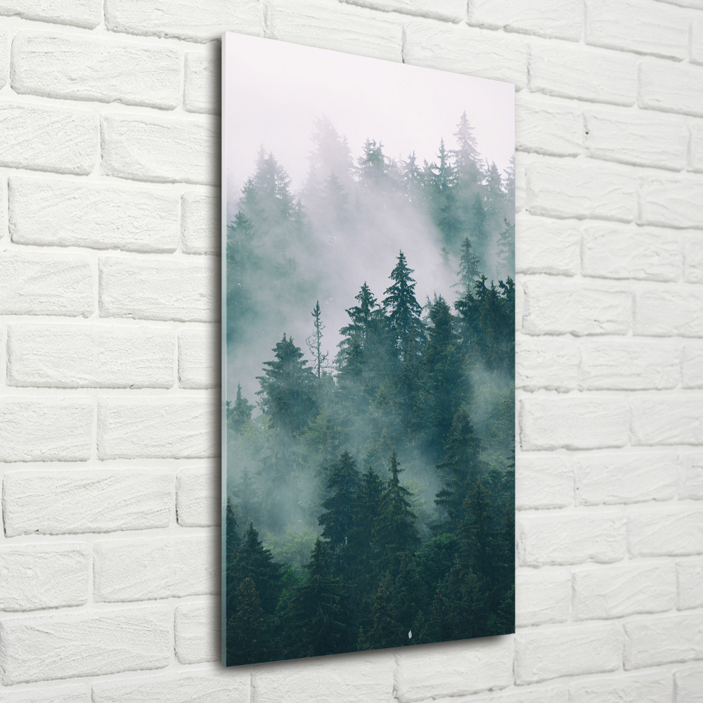 Glass wall art Fog over the forest