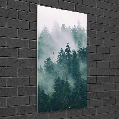 Glass wall art Fog over the forest