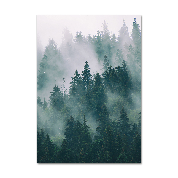 Glass wall art Fog over the forest