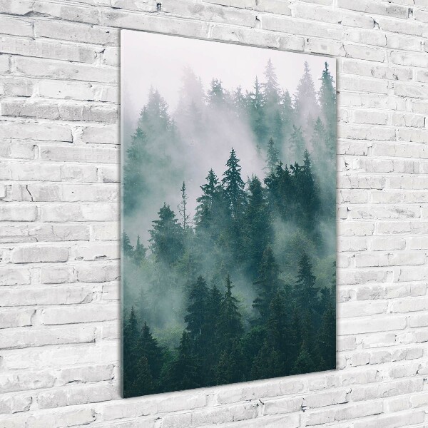 Glass wall art Fog over the forest