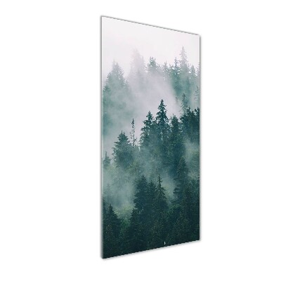 Glass wall art Fog over the forest