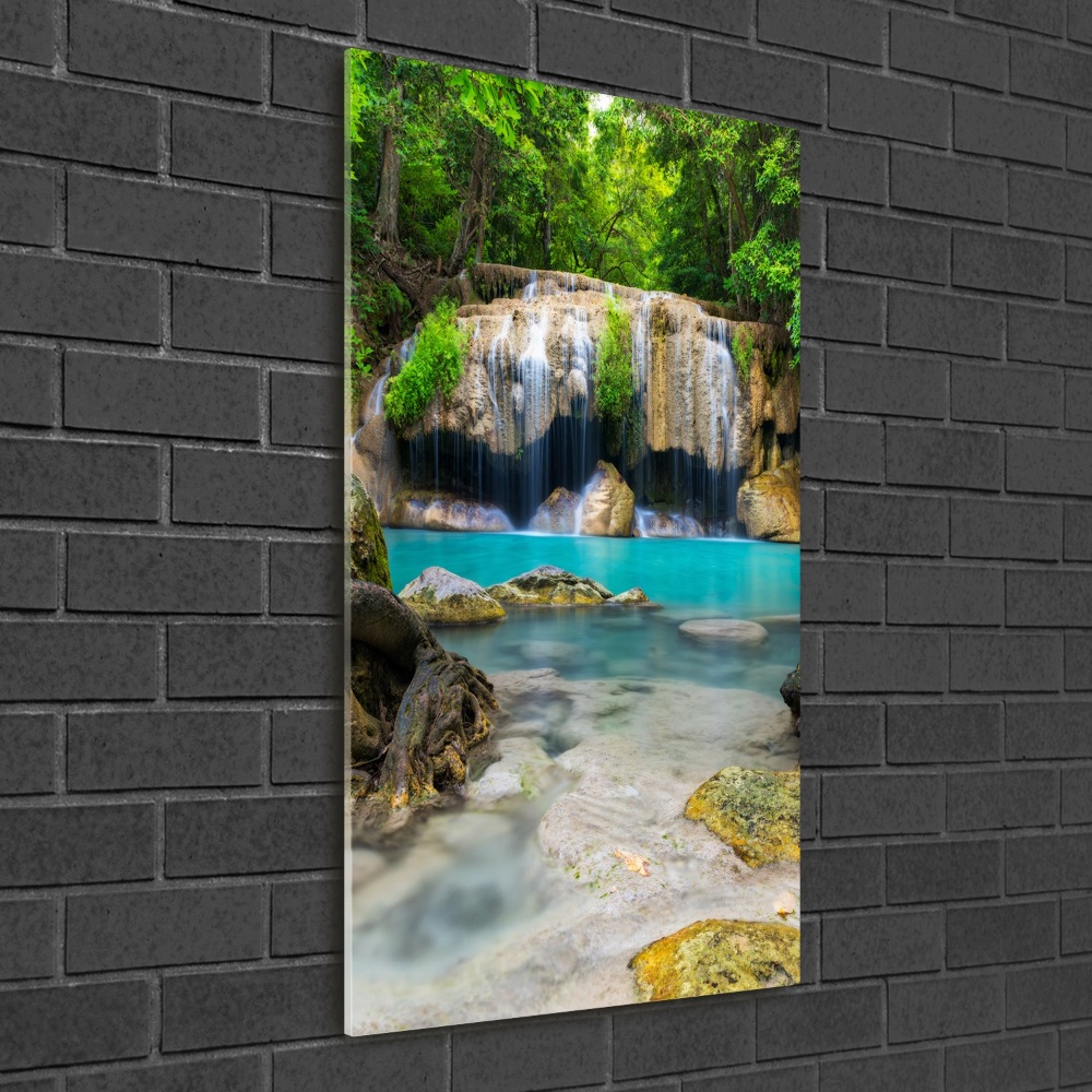 Glass wall art Waterfall in the jungle