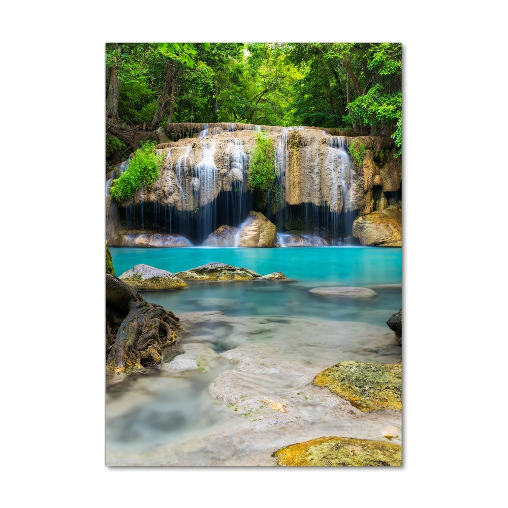 Glass wall art Waterfall in the jungle