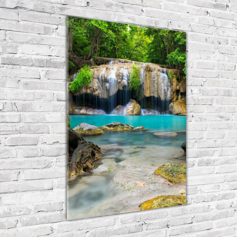 Glass wall art Waterfall in the jungle