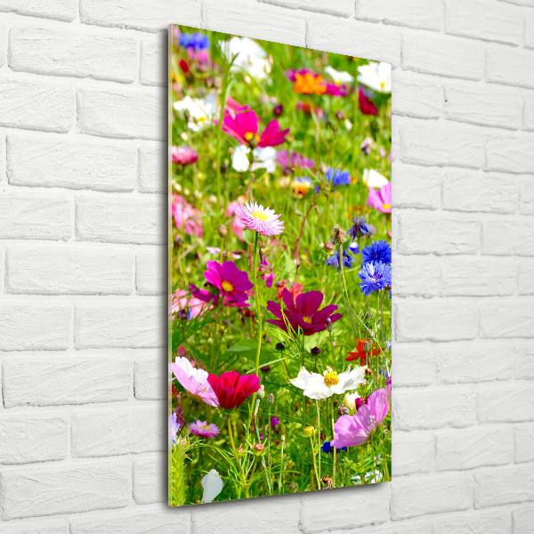 Wall art on glass Field flowers