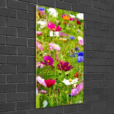 Wall art on glass Field flowers