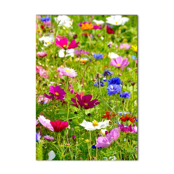 Wall art on glass Field flowers