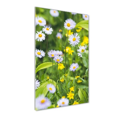 Wall art on glass Daisy