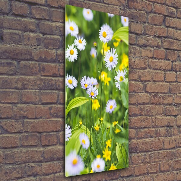 Wall art on glass Daisy