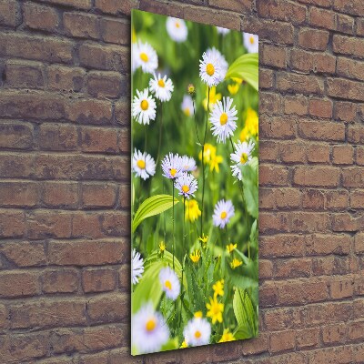 Wall art on glass Daisy