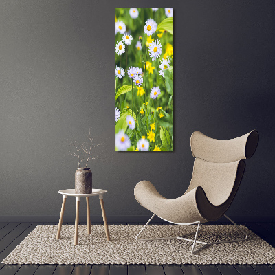 Wall art on glass Daisy