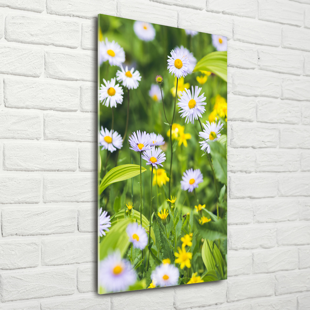 Wall art on glass Daisy