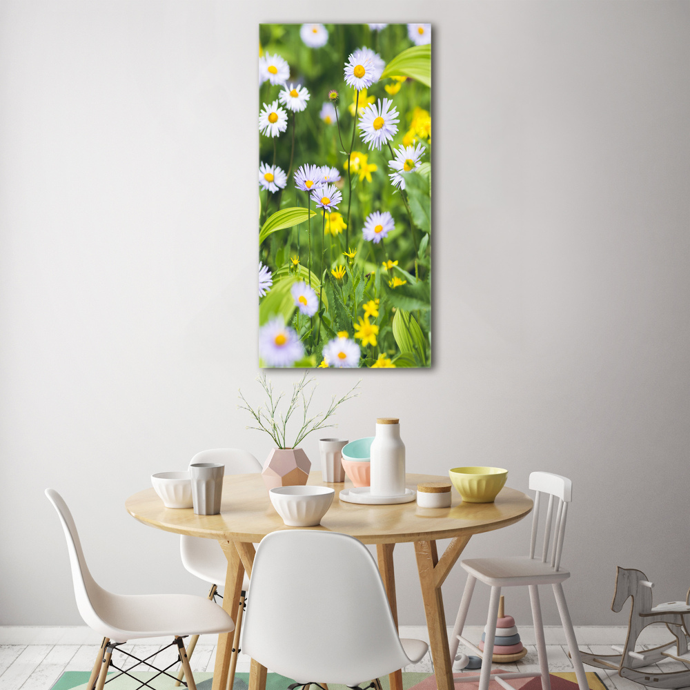 Wall art on glass Daisy