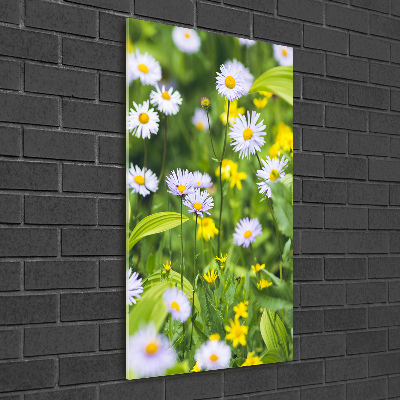 Wall art on glass Daisy