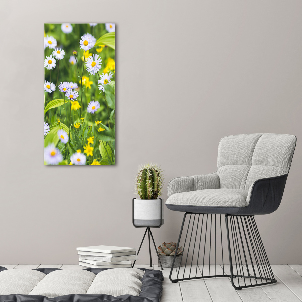 Wall art on glass Daisy