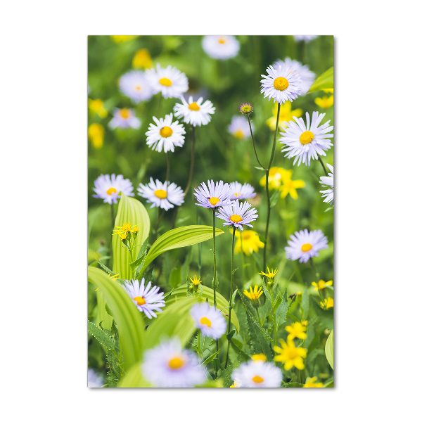 Wall art on glass Daisy