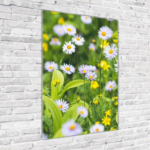 Wall art on glass Daisy