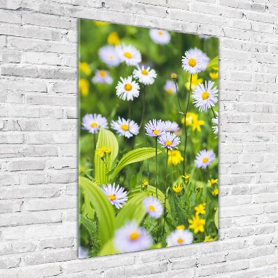 Wall art on glass Daisy