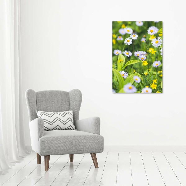 Wall art on glass Daisy