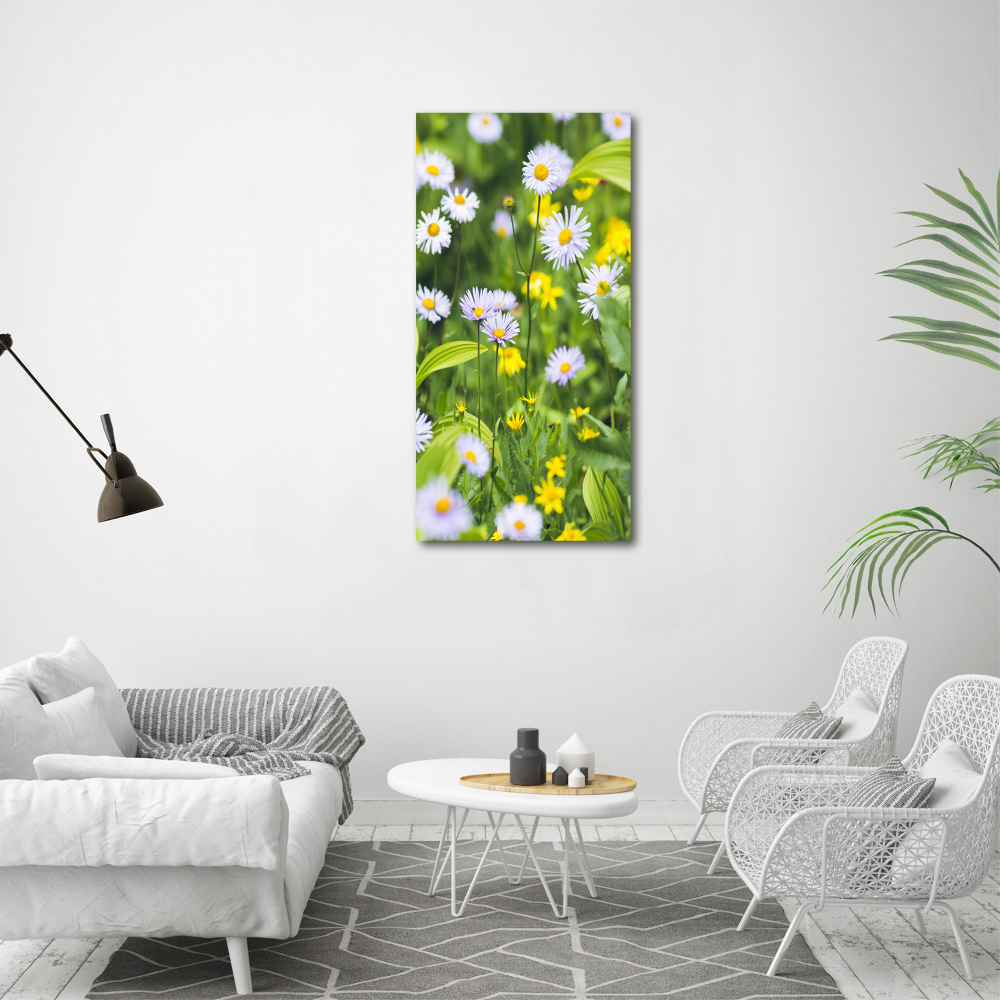 Wall art on glass Daisy