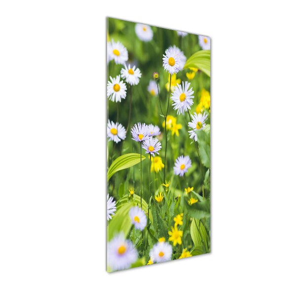 Wall art on glass Daisy