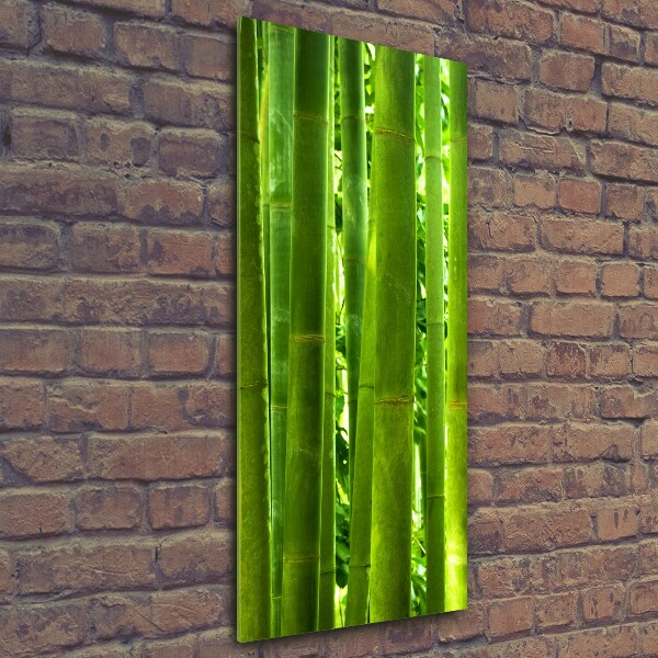 Wall art on glass Bamboo