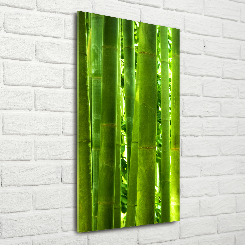 Wall art on glass Bamboo