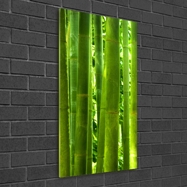 Wall art on glass Bamboo