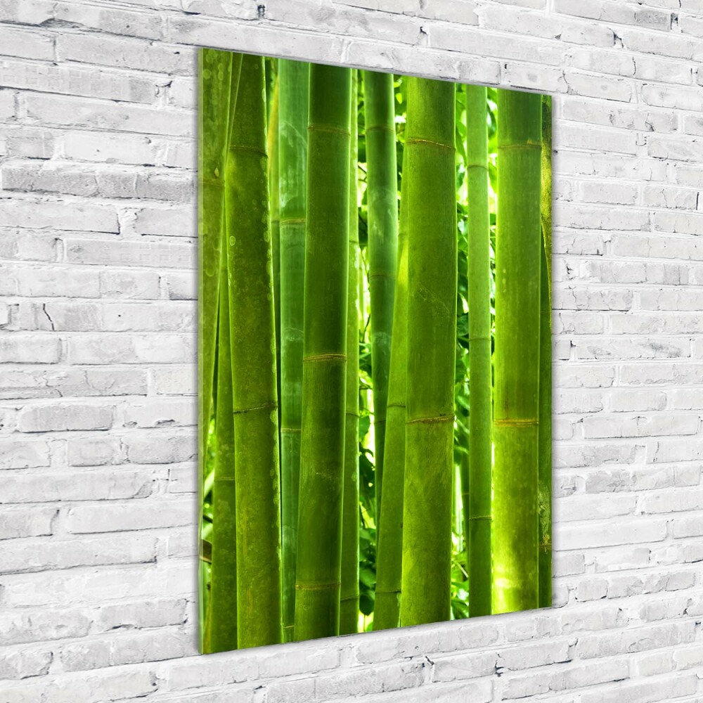 Wall art on glass Bamboo