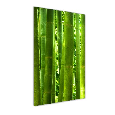 Wall art on glass Bamboo