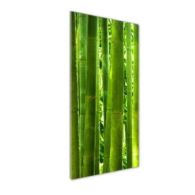 Wall art on glass Bamboo