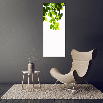 Wall art on glass Green leaves