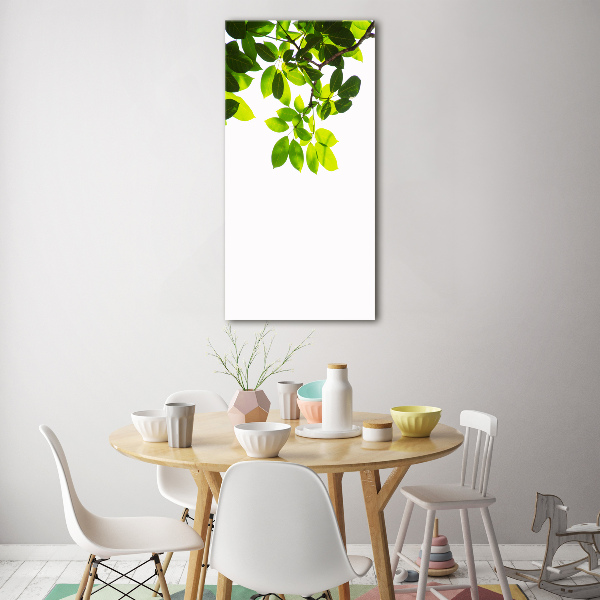 Wall art on glass Green leaves