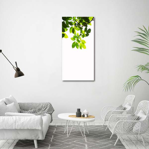 Wall art on glass Green leaves