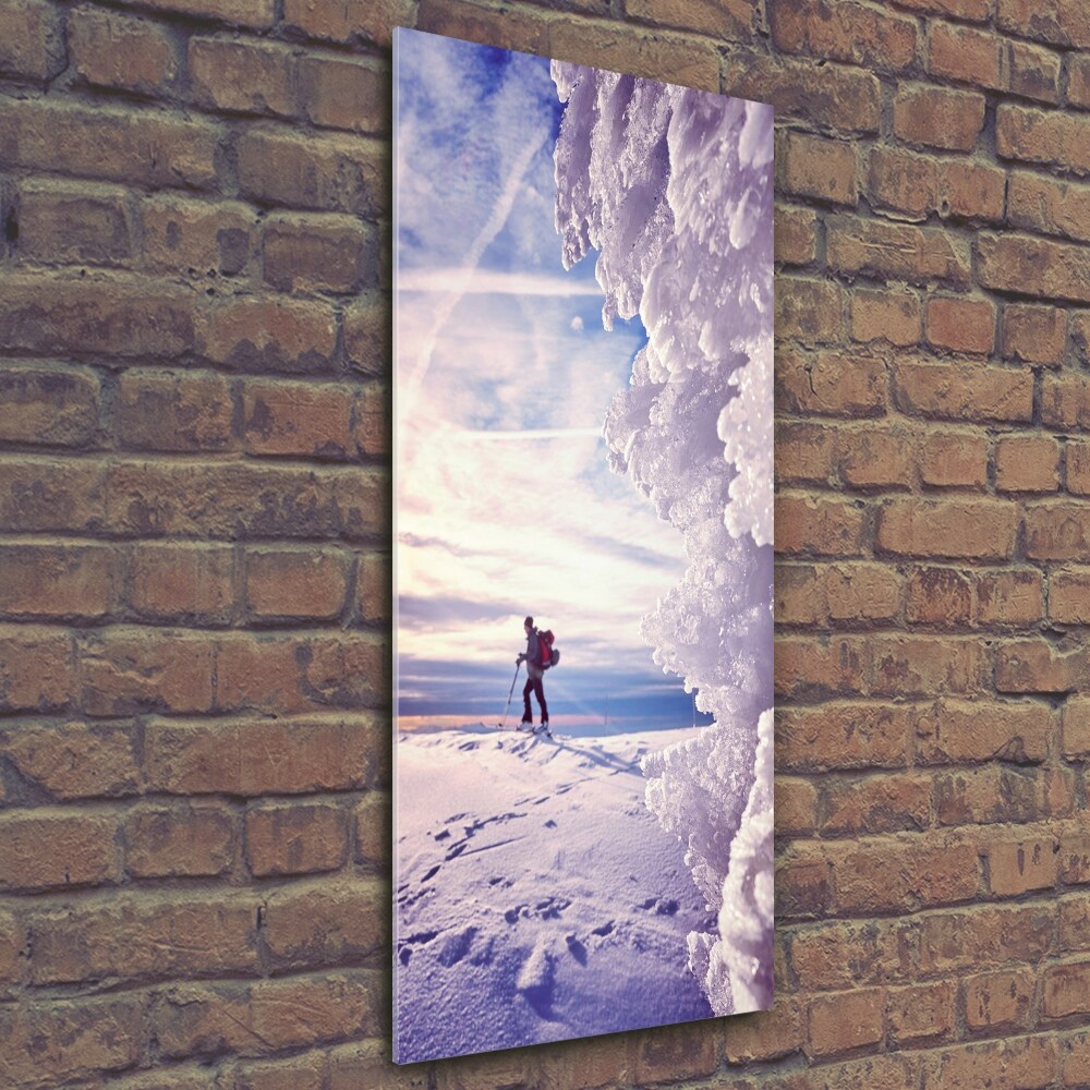 Wall art on glass Skier