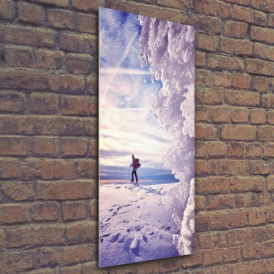 Wall art on glass Skier