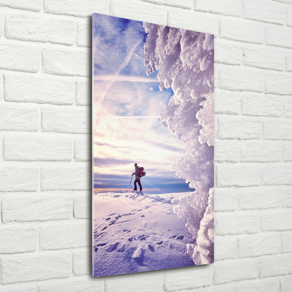 Wall art on glass Skier