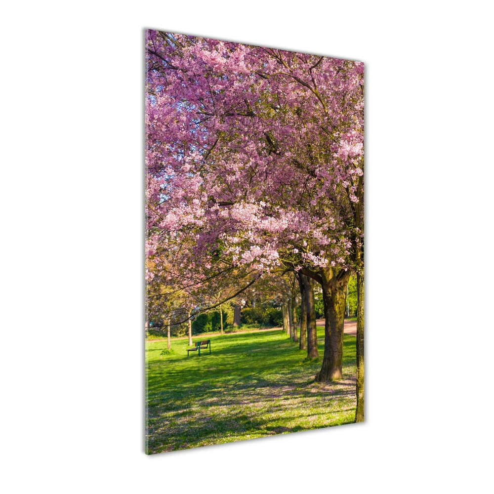 Glass art picture Cherry trees