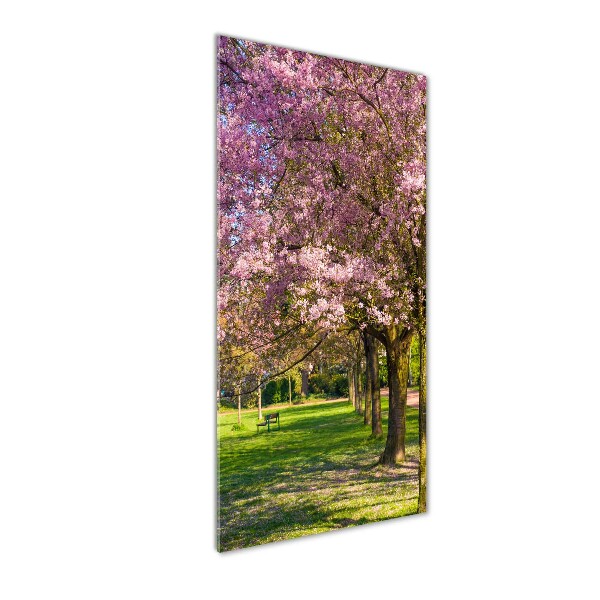 Glass art picture Cherry trees