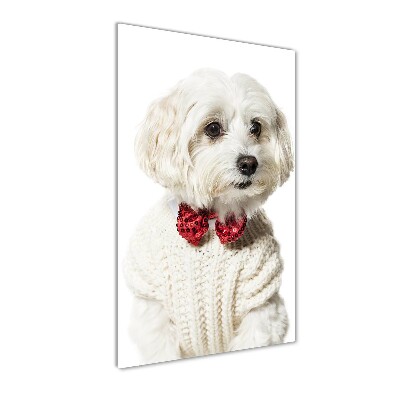 Print on a a glass Maltese in a bow tie