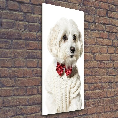 Print on a a glass Maltese in a bow tie