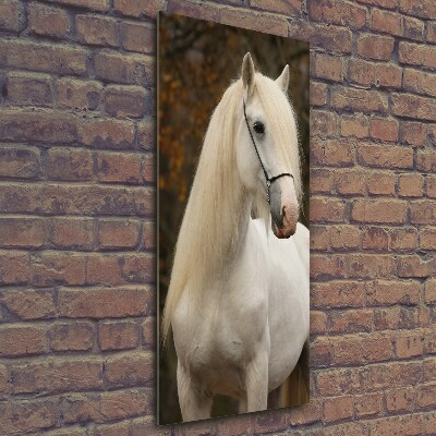 Glass wall art White horse